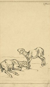Due agnelli da Franz Marc